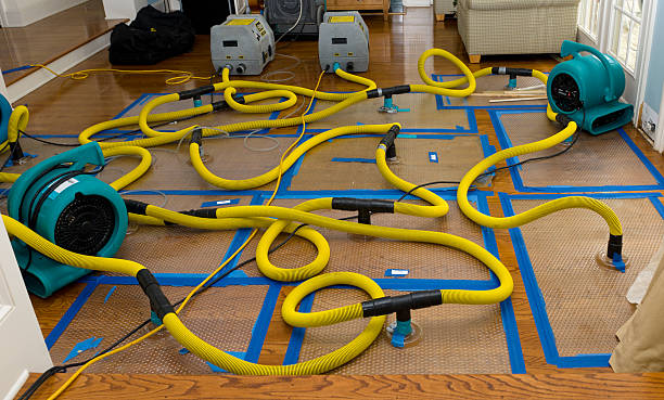 Professional Structural Drying And Dehumidification technician working in Rugby, TN